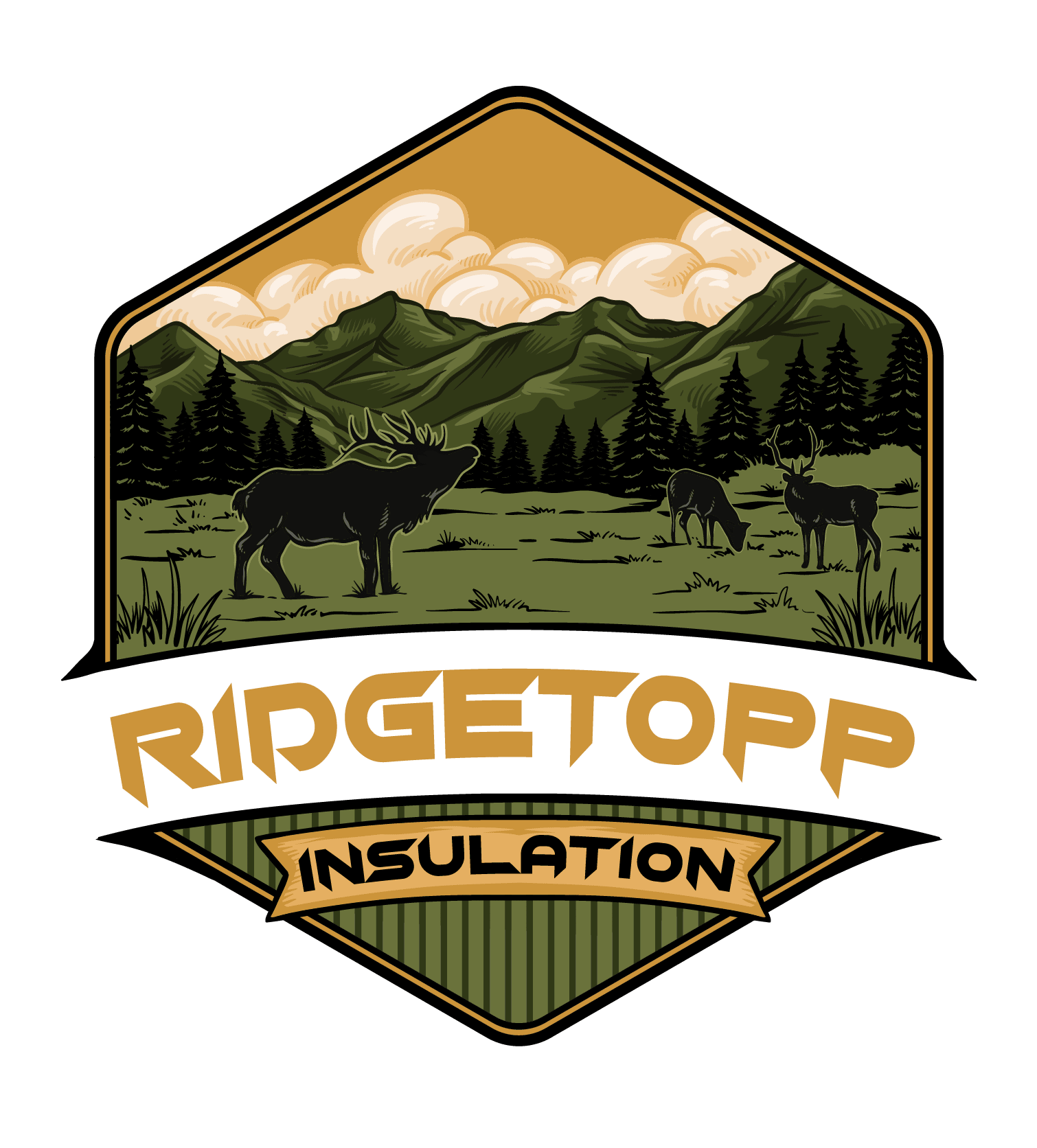 Ridgetopp Insulation Home Insulation Contractors